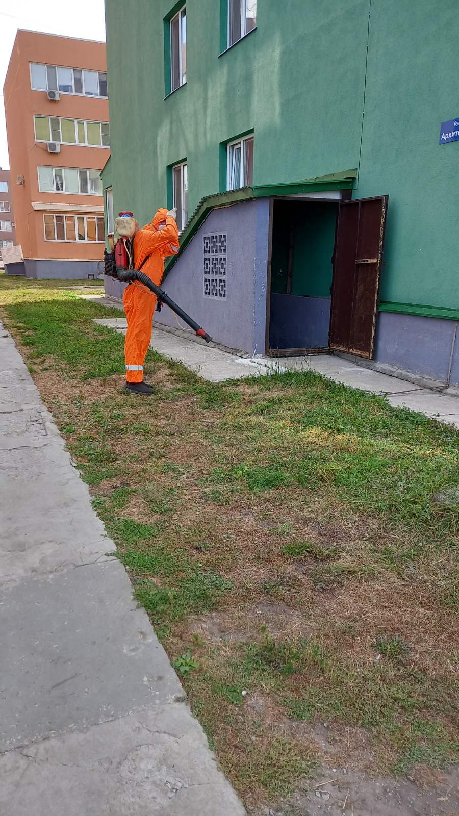 Дезинсекция, дезинфекция и дератизация