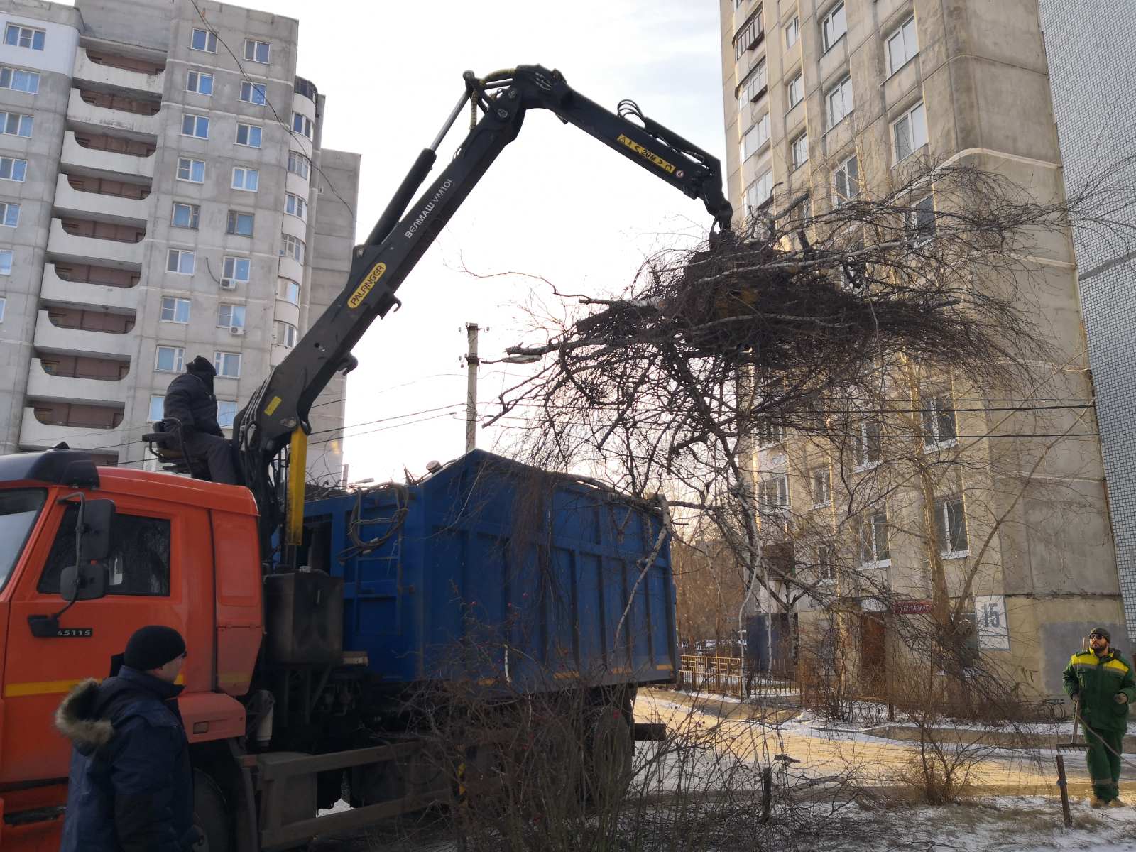 Обрезка деревьев