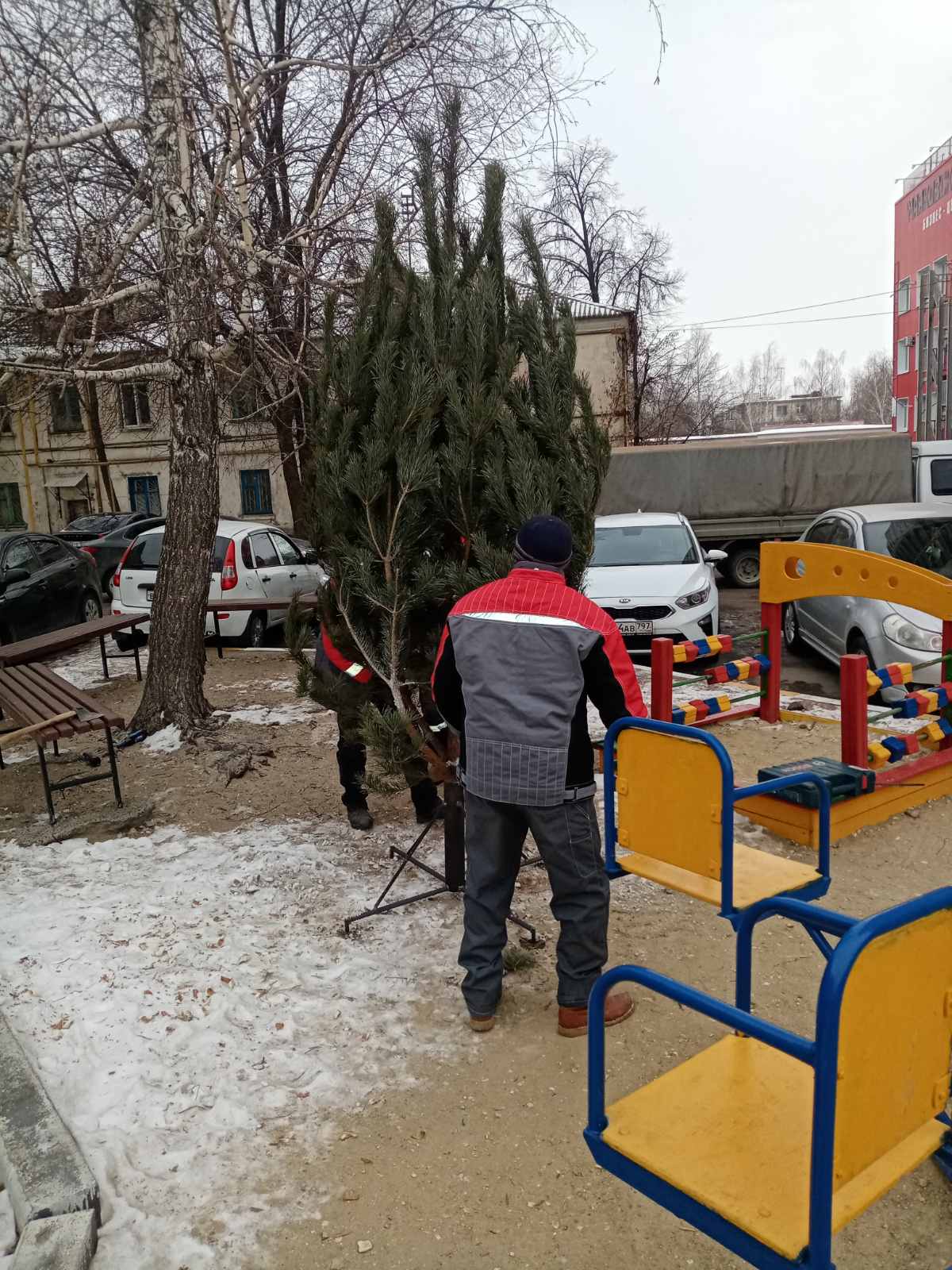 Аромат хвои – это символ Нового года