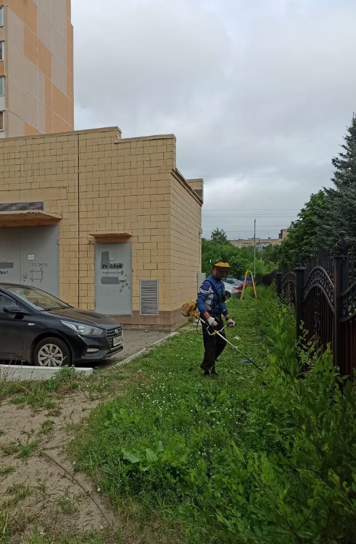 Покос во дворе д. 9 по ул. Фруктовая