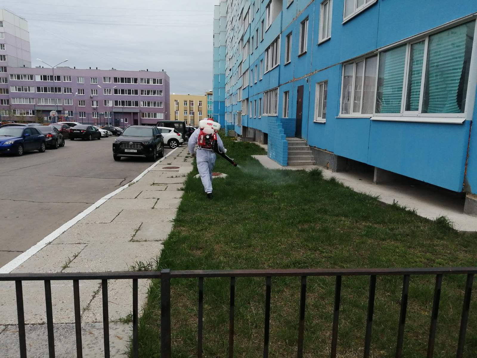 Акарицидная обработка дворов