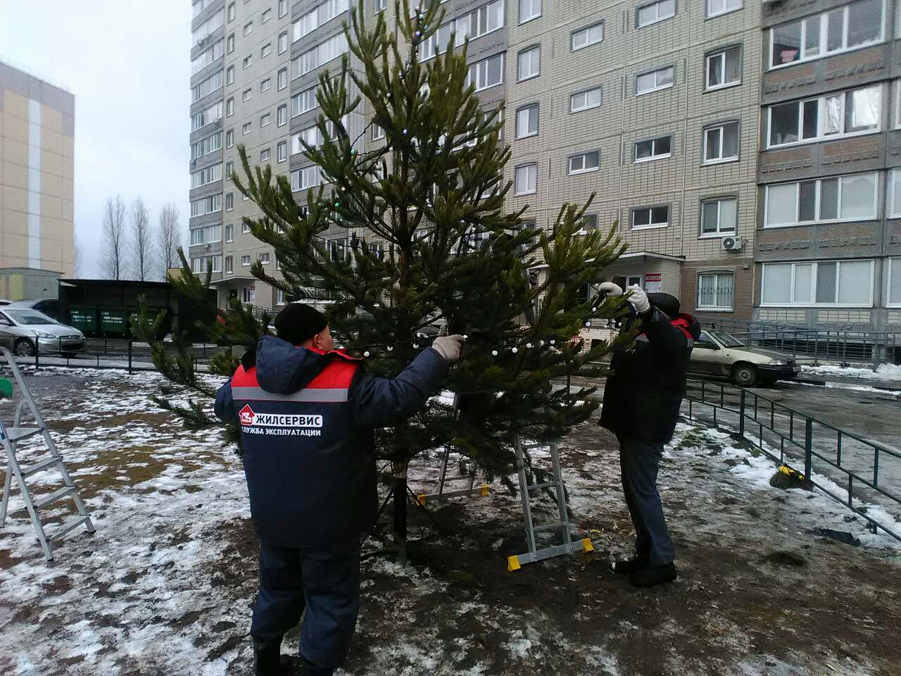 Новогодние ели во всех наших дворах