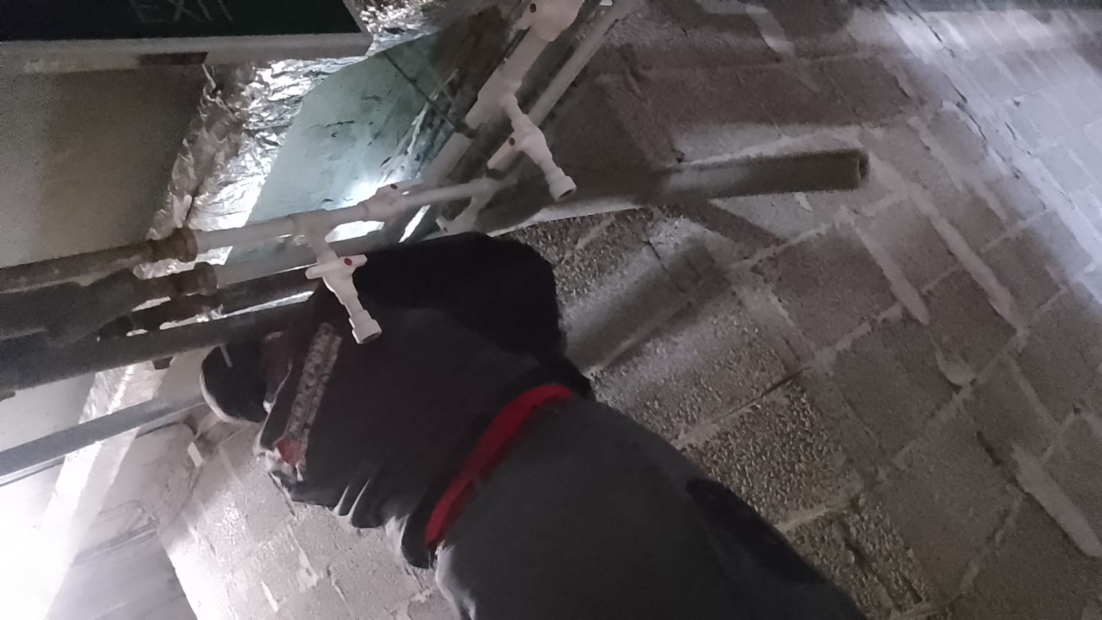 Каждый дом уникален как живой организм