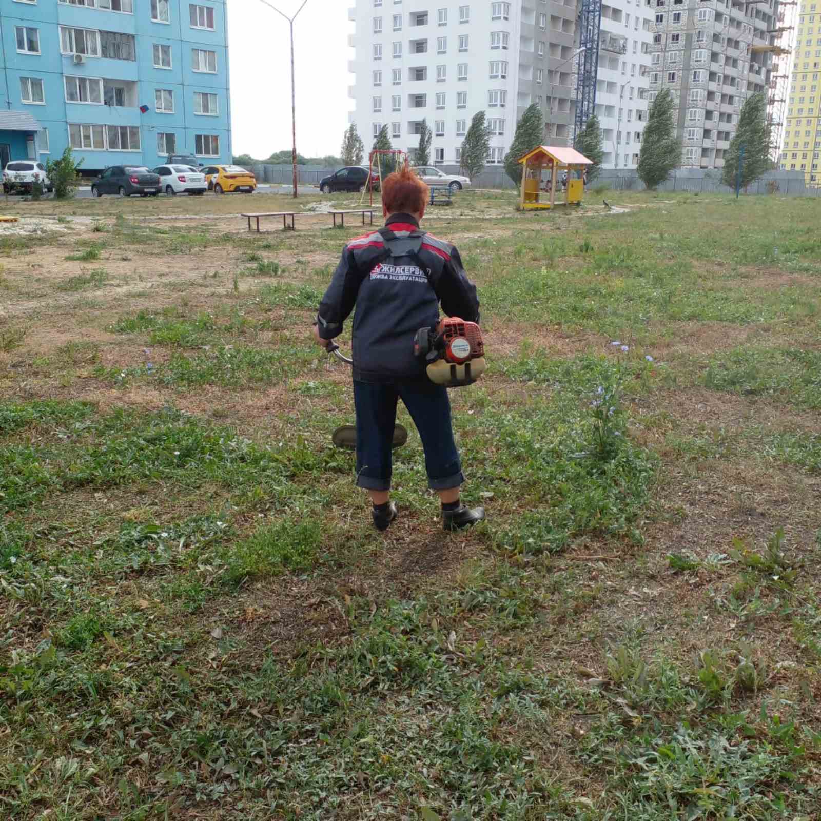 Покос травы