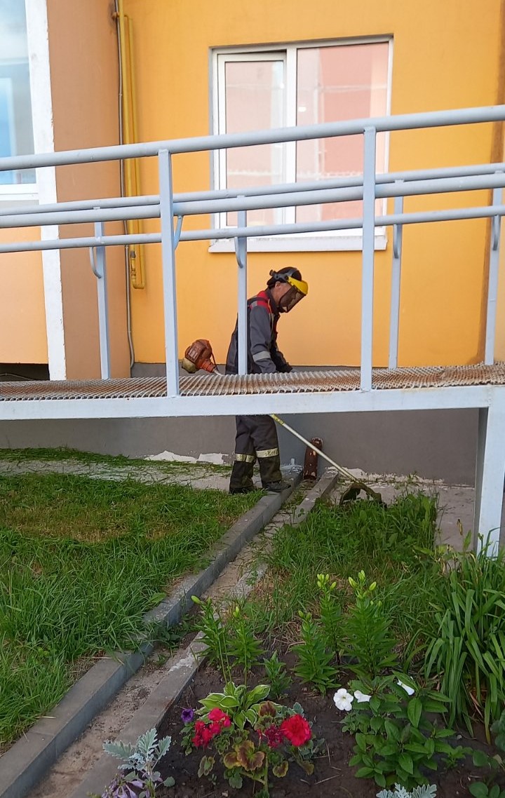 Покос газонов
