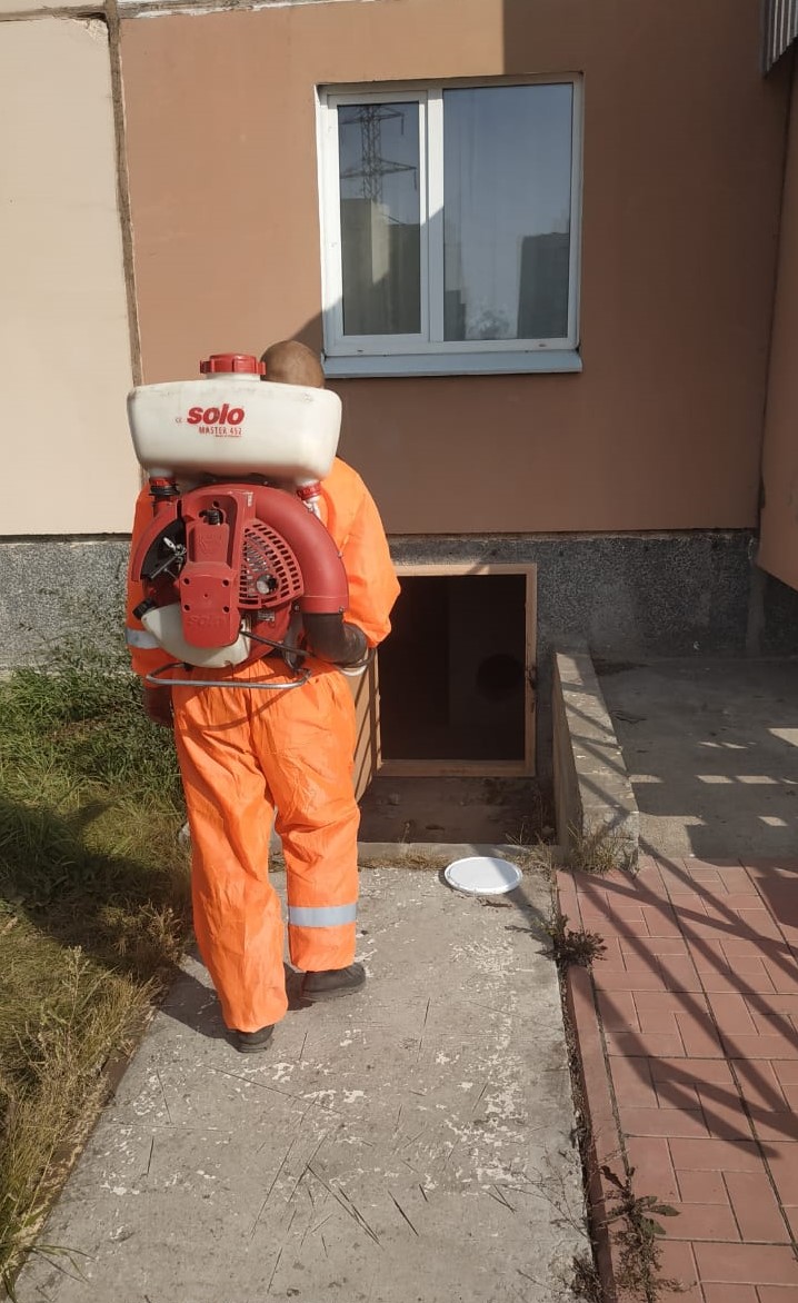 Дезинсекция, дезинфекция и дератизация должны быть регулярными
