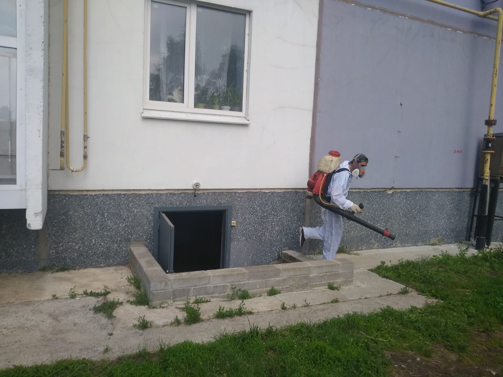 Комплексная обработка подвалов и мусорокамер