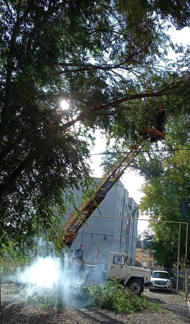 Уход за зелеными насаждениями в городе
