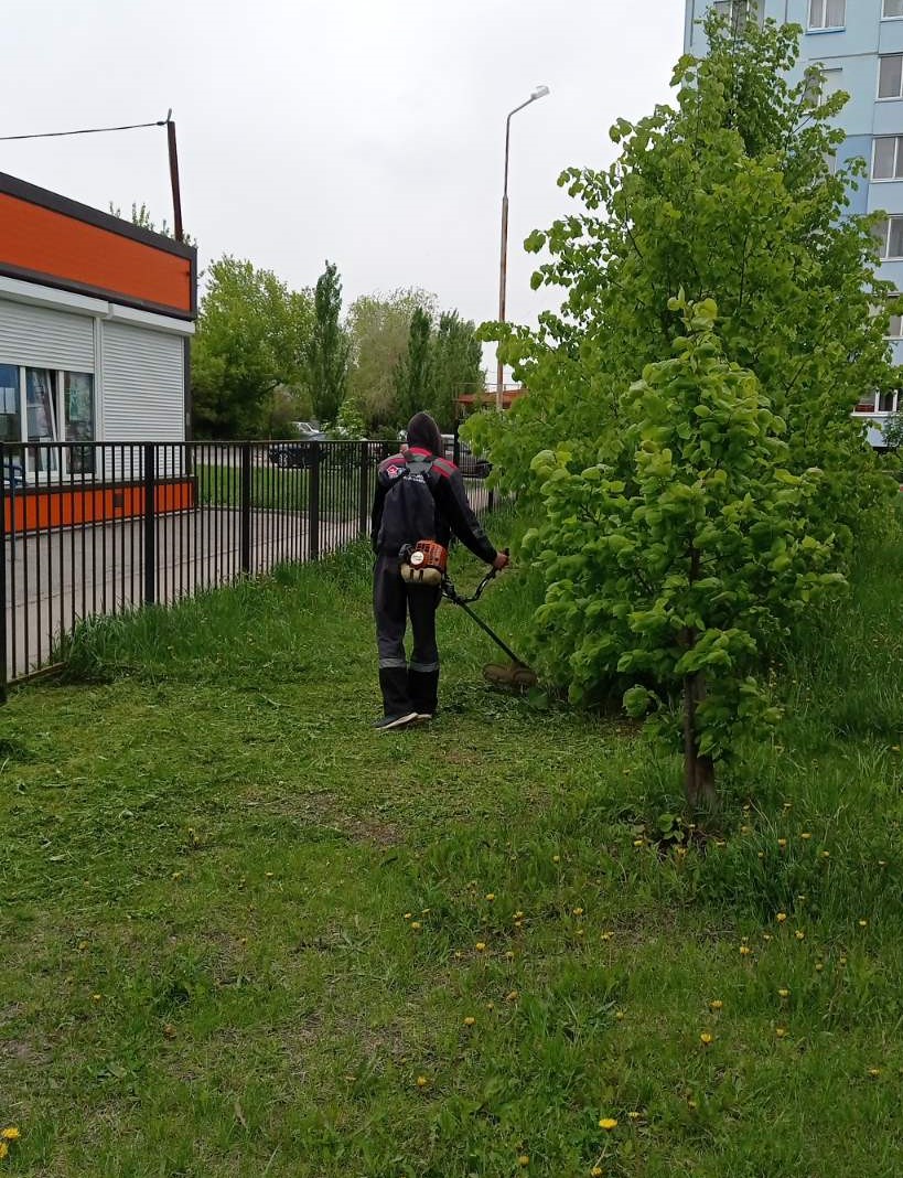Покос травы