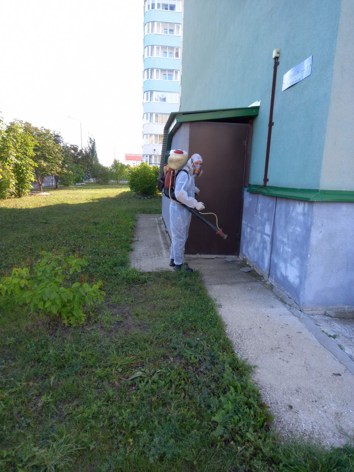Комплексные мероприятия по обработке подвалов