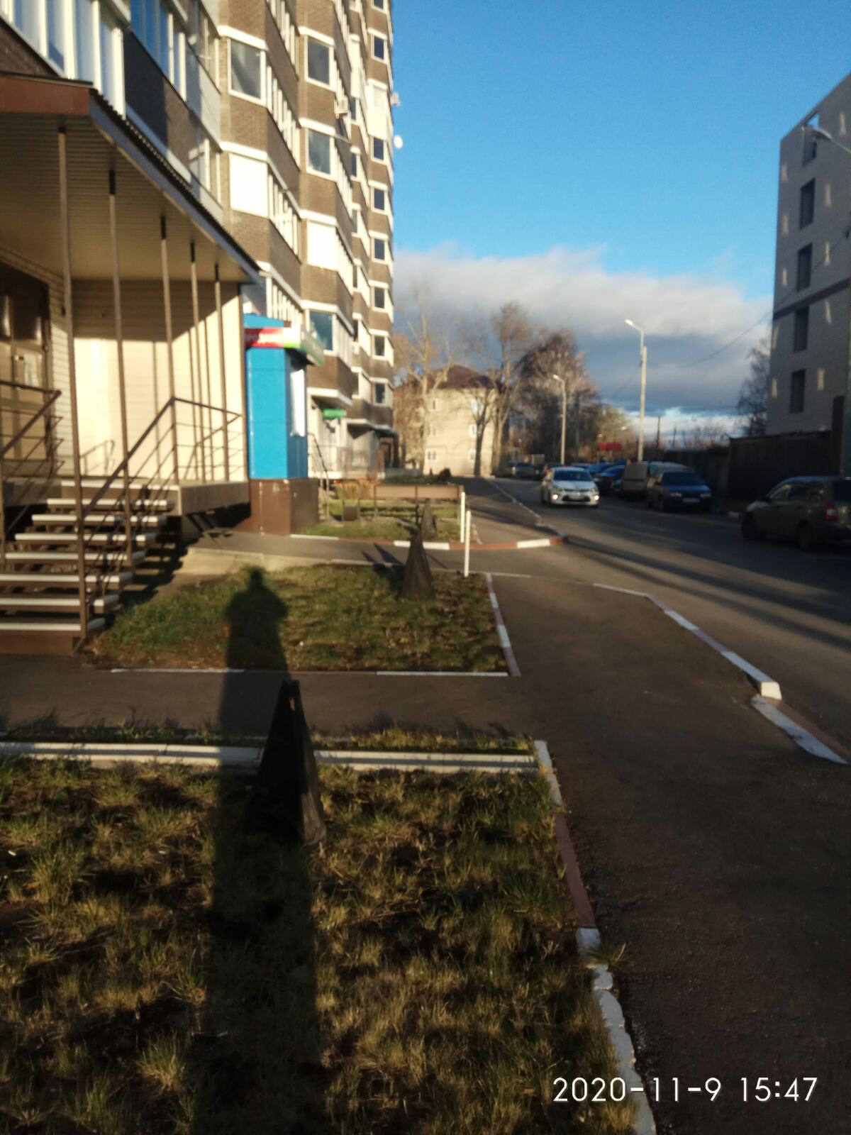 Укрытие деревьев на зиму