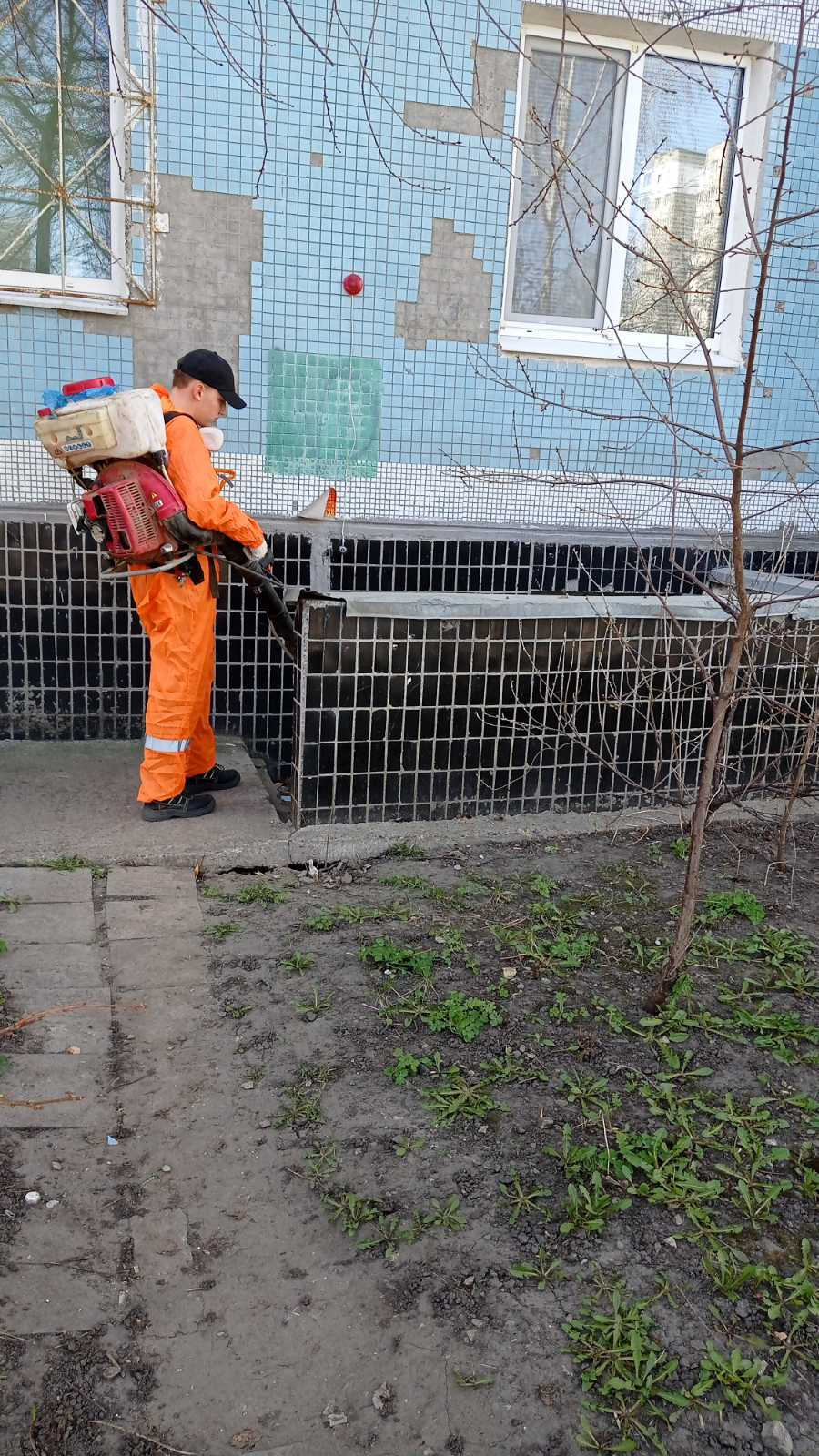 Подготовка дома к лету