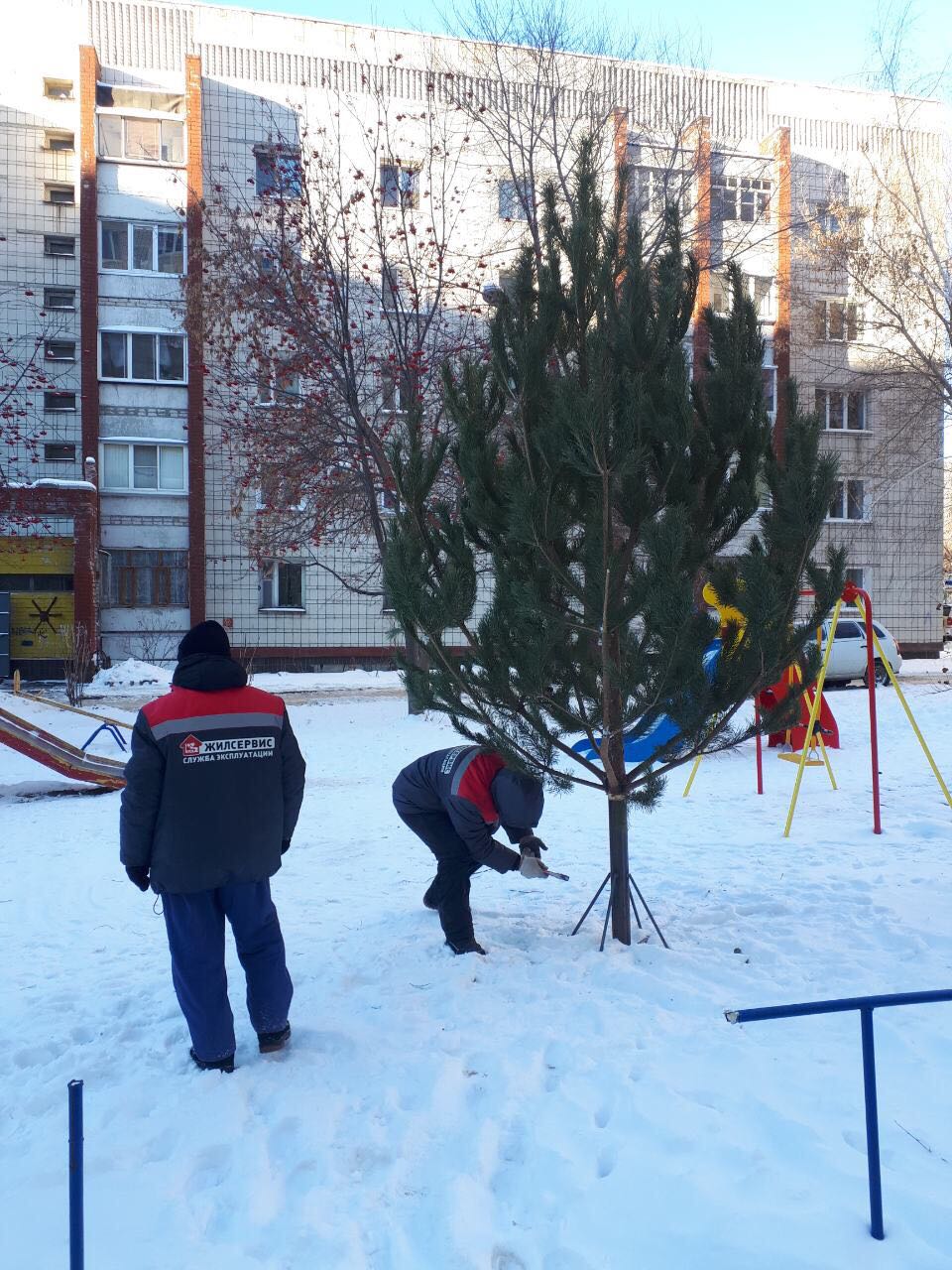 Установка новогодних ёлок во дворах
