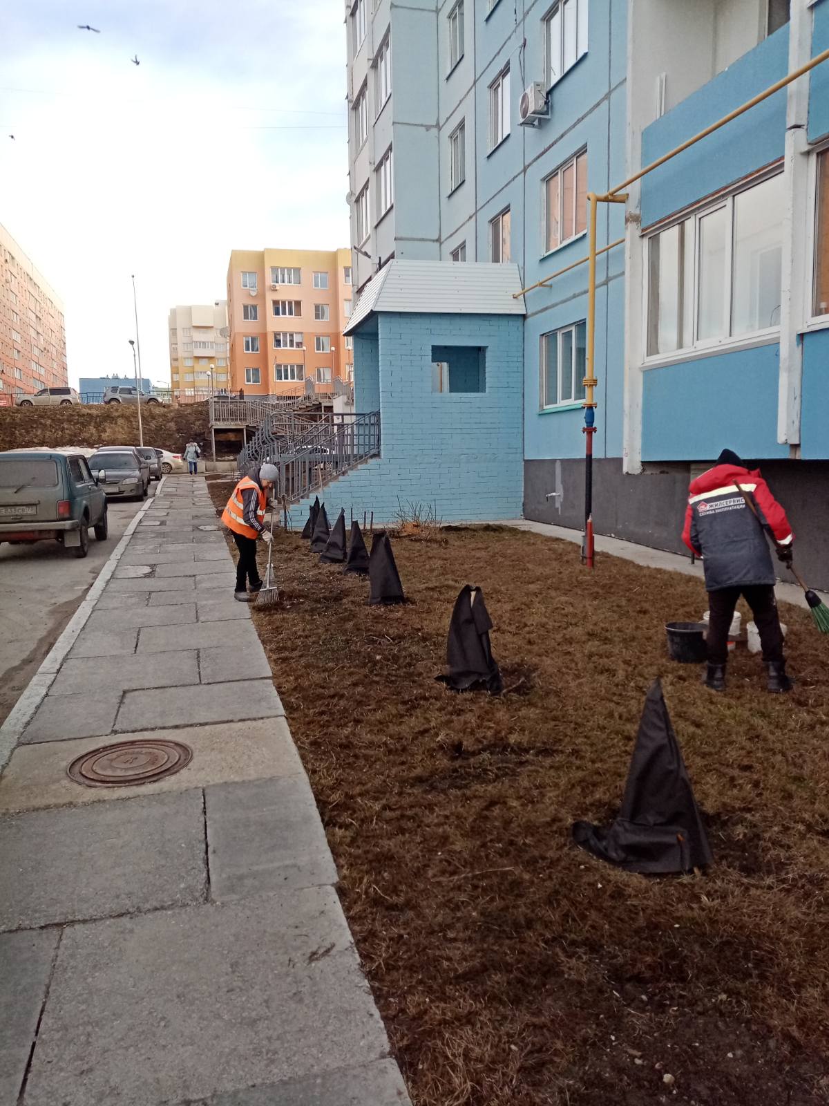Уборка газонов
