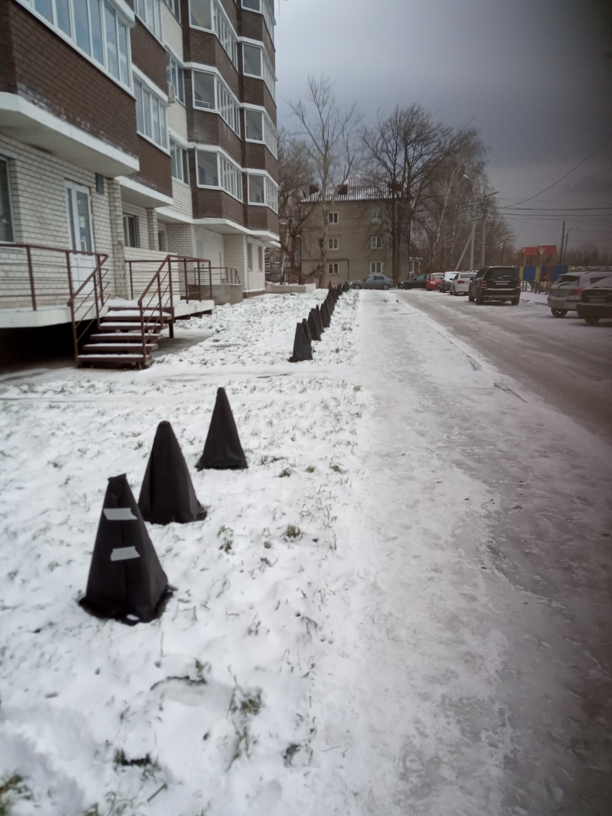 Укрытие саженцев