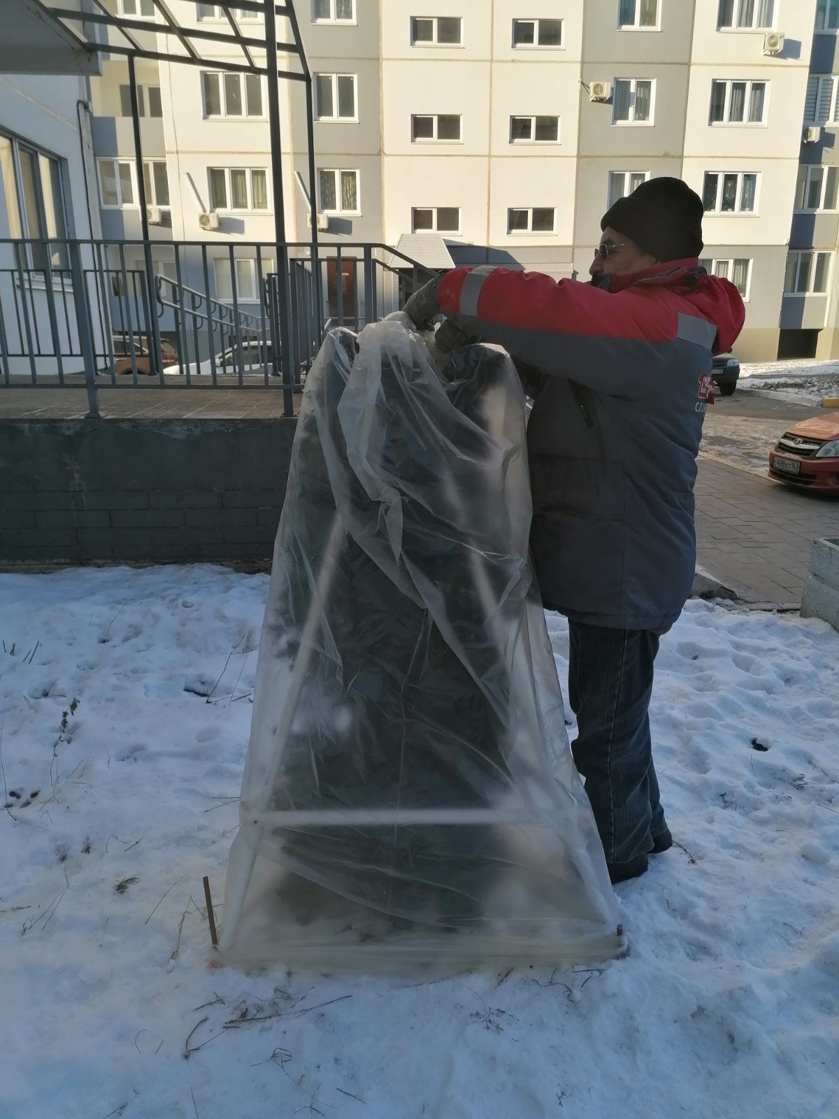 Укрытие на зиму деревьев
