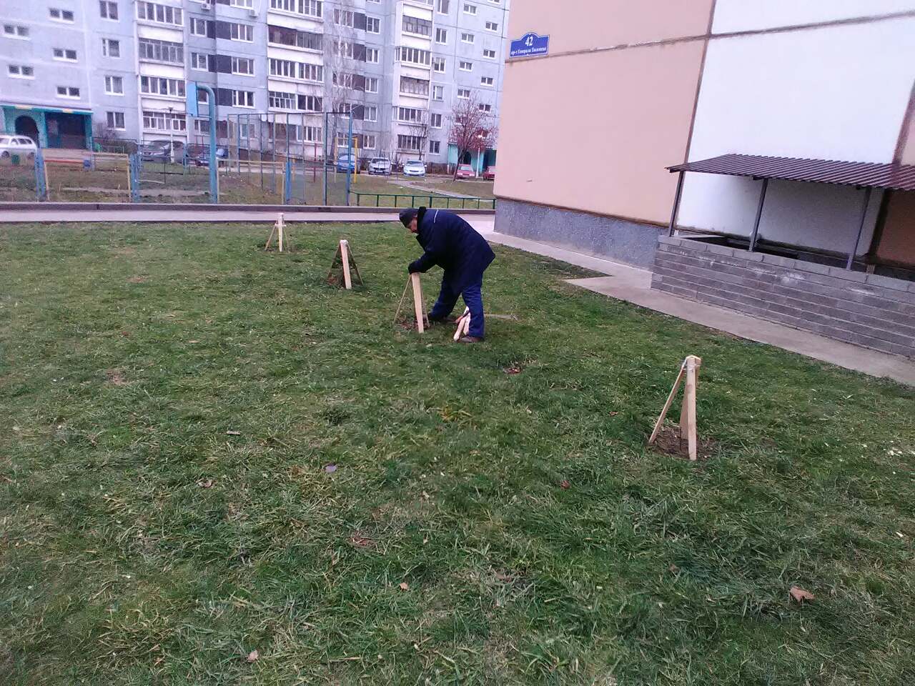Ограждение саженцев