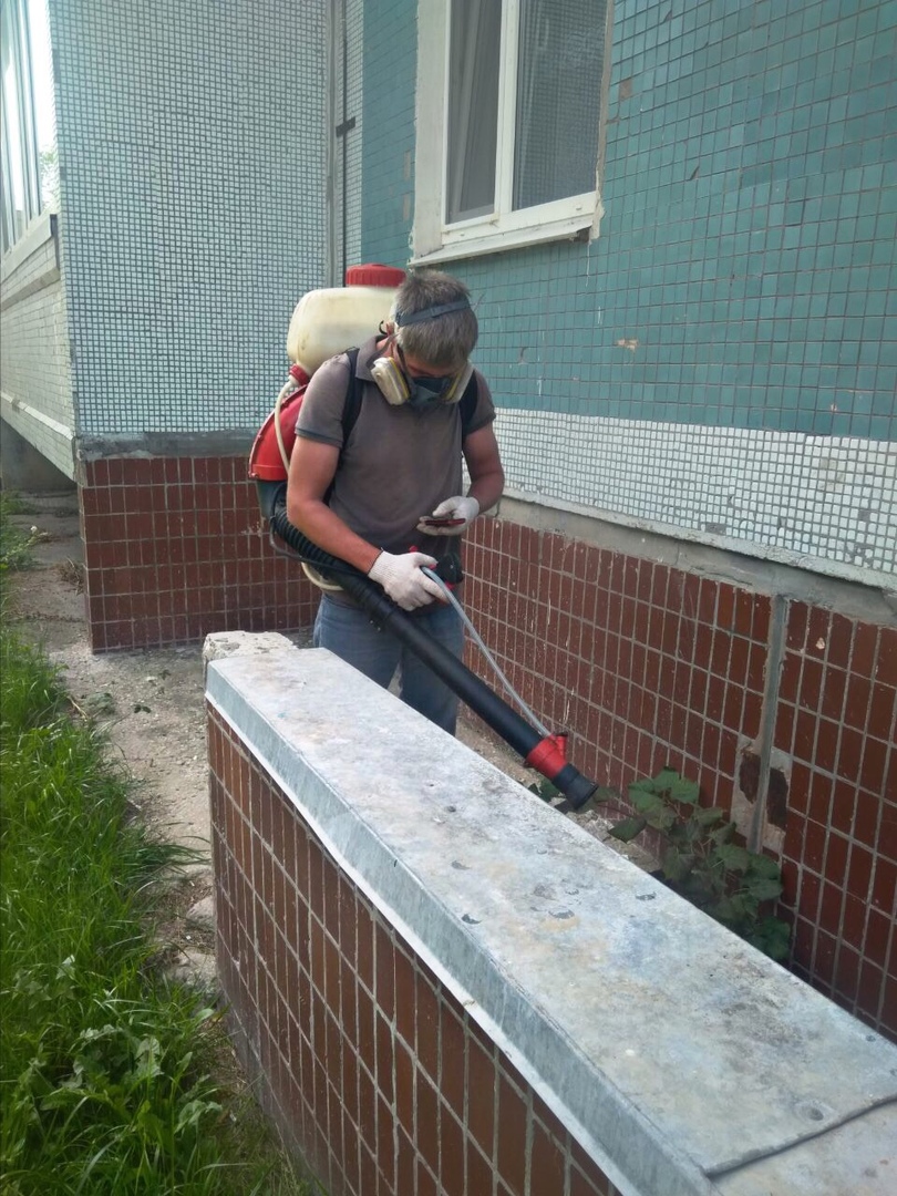 Дезинсекция подвалов по ул.Жигулевская д.19, ул.Камышинская д.21, ул.Корунковой д.16