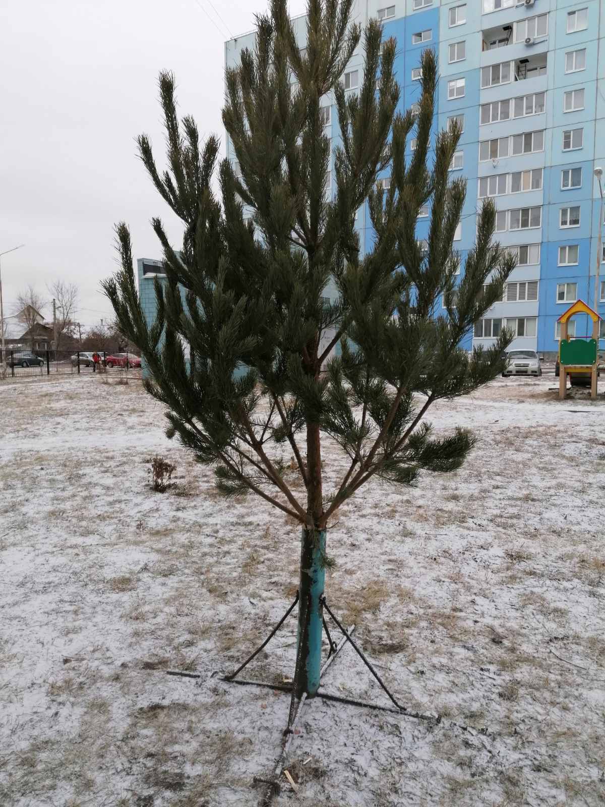 Приближение праздника