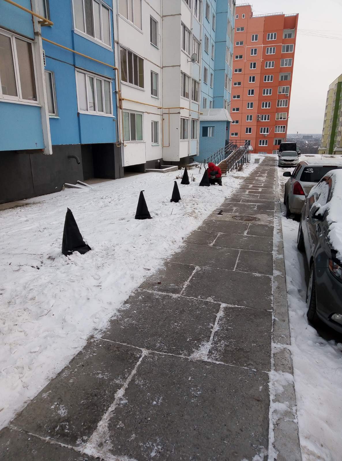 Укрытия зеленых насаждений