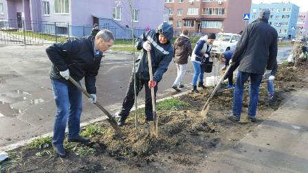 Акция "Посади своё дерево"