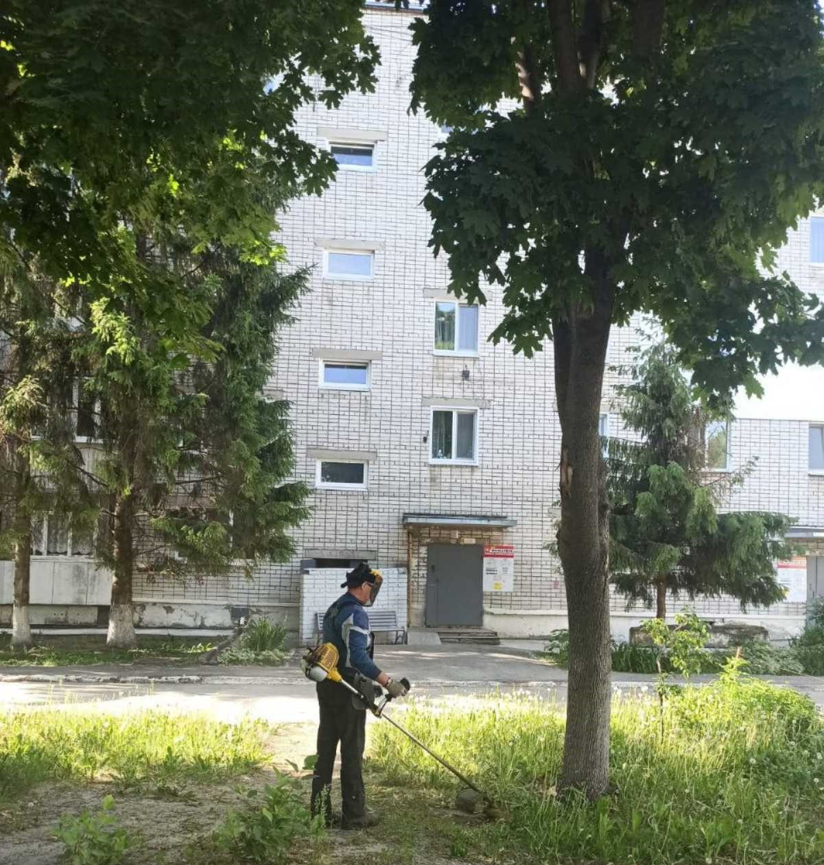 Покос газонов
