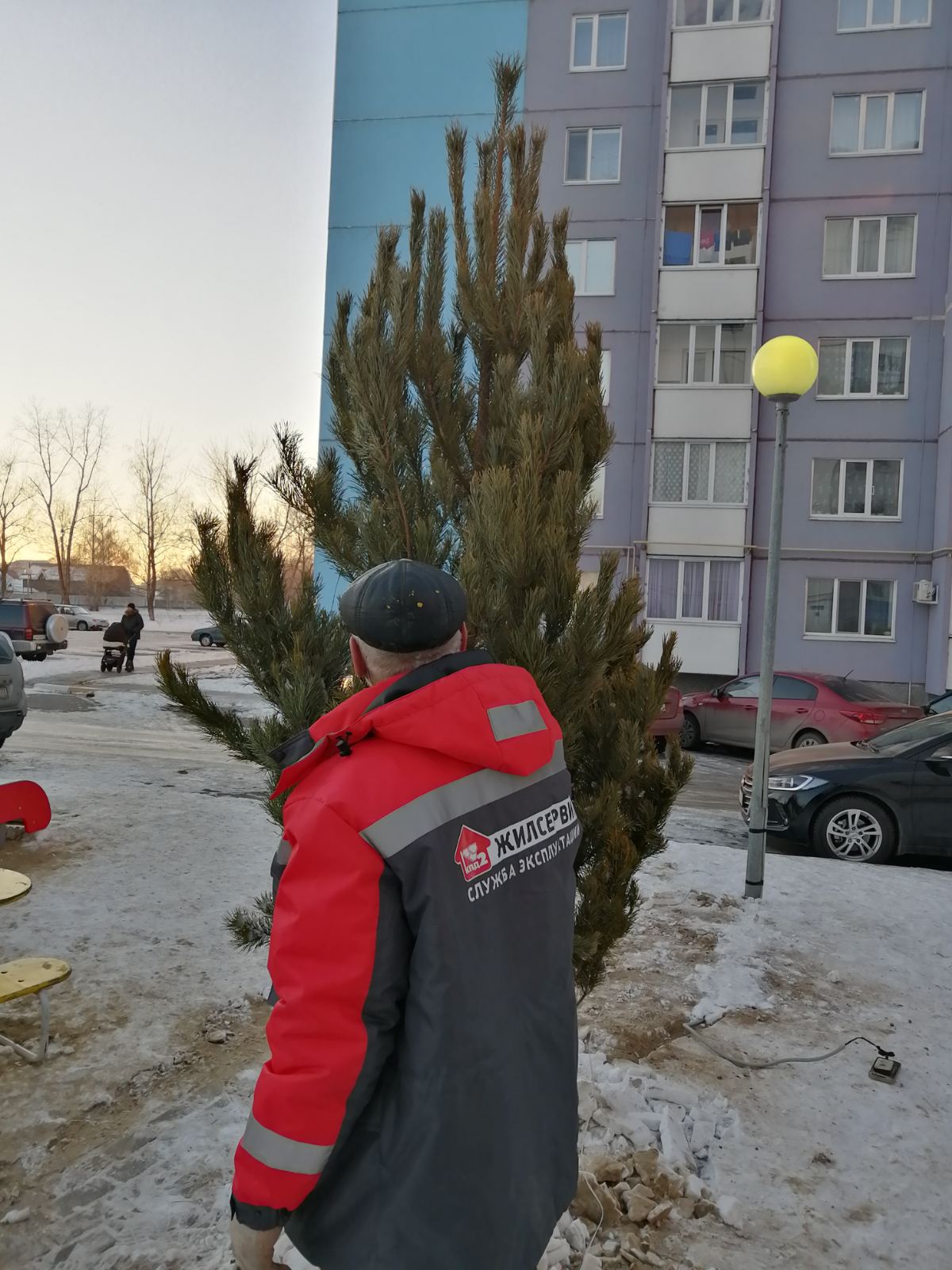 Установка новогодних ёлок