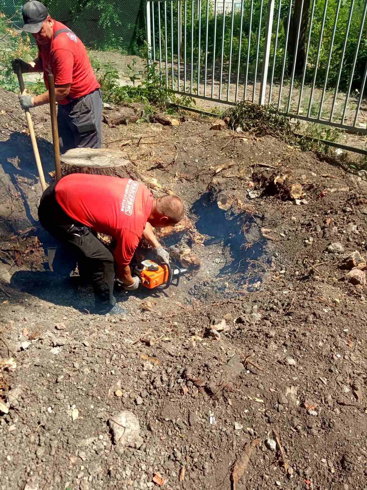 Благоустройство двора