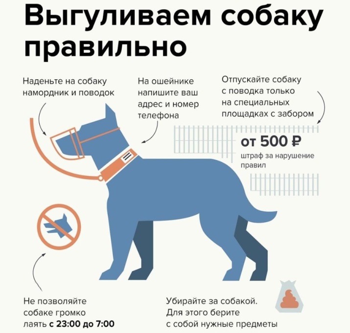 Правила при выгуле собак